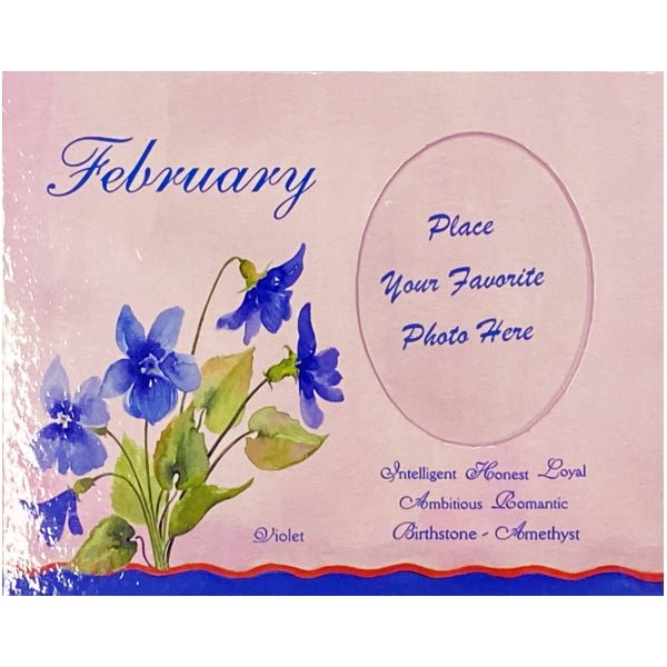 February Birthday Picture Frame - Violet (Holds 2.25" x 3" Photo) Includes Birth Flower, Birthstone, and Personality Traits - Dollar Fanatic