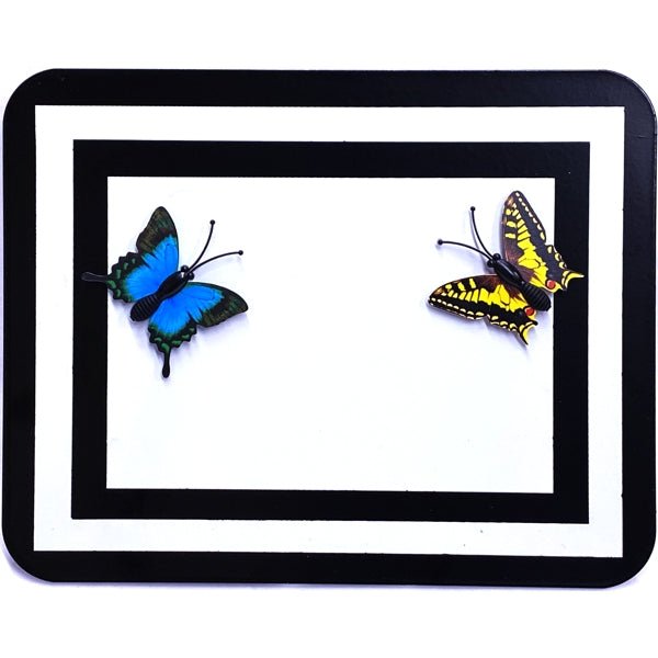 Your Zone Metal Photo/Memo Display Stand with 2 Magnets - Butterflies (7.5" x 6") Tabletop Easel Display Design - Dollar Fanatic