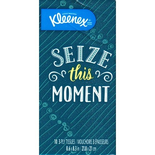 Kleenex 3-Ply Facial Tissues Pack (10 count) Pocket Travel Size - DollarFanatic.com